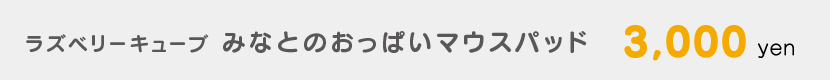 C96_goods8.png